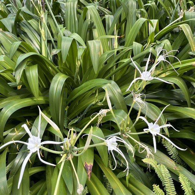 充滿藝術寧靜的小花園