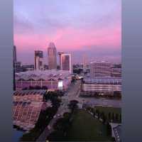 City scape from Fairmont