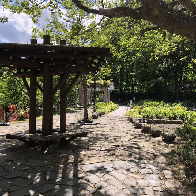 散策路が楽しい、定山渓二見公園