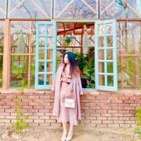 🌷정원카페 - 화성 더포레🌷