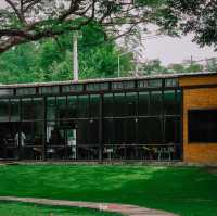 คาเฟ่ที่มีวิวสวนสวยๆ สีเขียวๆสลายตาสุดๆ