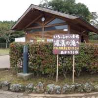 亀岩の洞窟📸️日本神秘美景