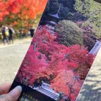 【京都府】秋は「もみじの永観堂」へ