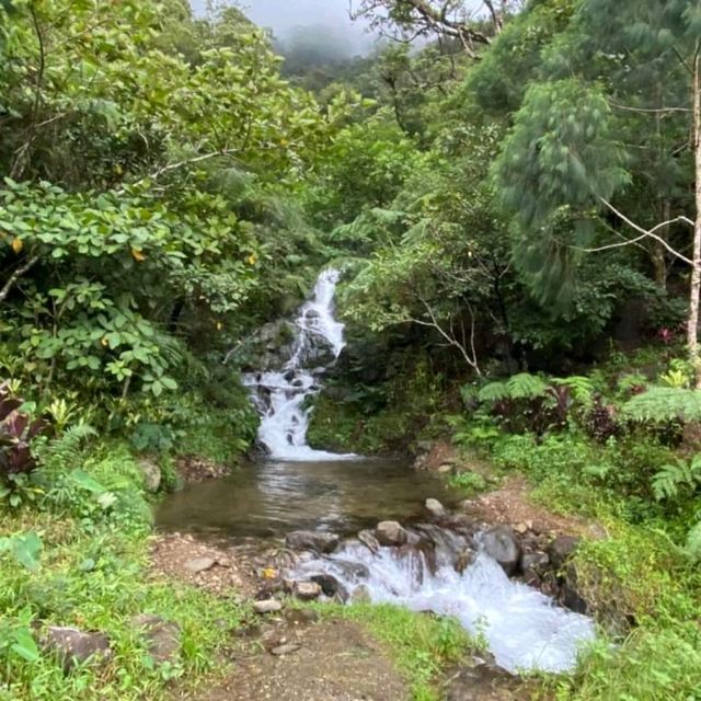 NATURE LOVER (Sibuyan Island)