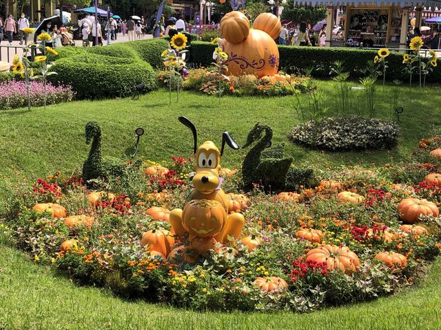 迪士尼詭趣花園🎃南瓜糖果處處尋🍭