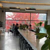 韓国/ソウル【牛耳洞】紅葉が見れる🍁大型ベーカリーカフェ💛