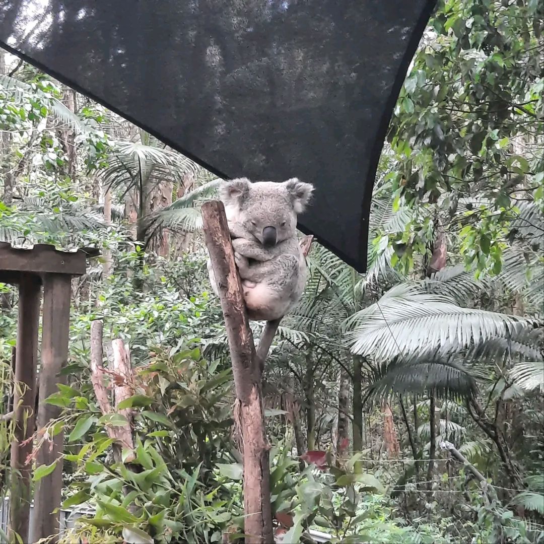 WILDLIFE HQ: A Fun Day Out