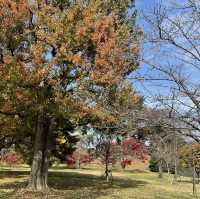 Emperor palace in Tokyo - fall season