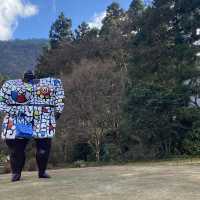 Hakone open air museum