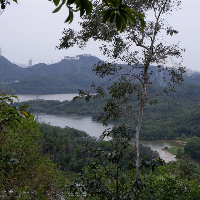 深圳至抵玩植物園