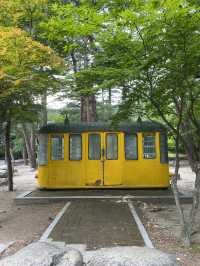 설악산 케이블카타고 인생샷여행하기🚡
