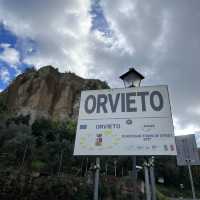 orvieto, great experience with alley cats 