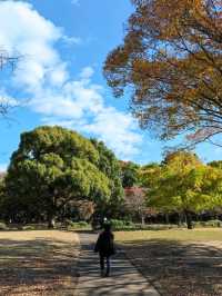 Walkers paradise in the heart of Tokyo!! 