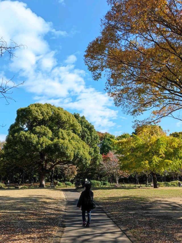 Walkers paradise in the heart of Tokyo!! 