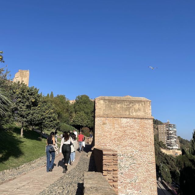 Beautiful view from Alcazaba