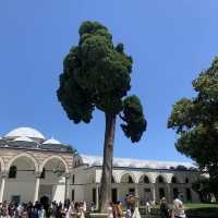 Topkapi Palace photo collection!