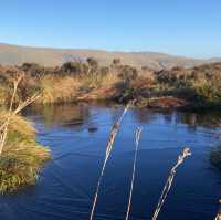 Three Lochs Way-Balloch to Helensburgh 