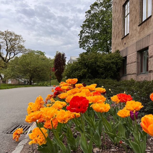 Visiting the botanical garden in Oslo