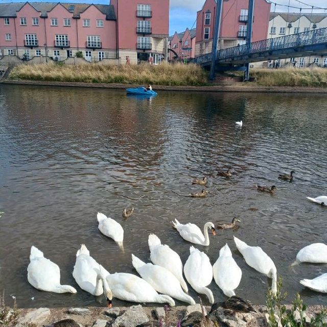 #the qauyside beautiful place to sit with food & drink #turtle bay #the beach in exeter city