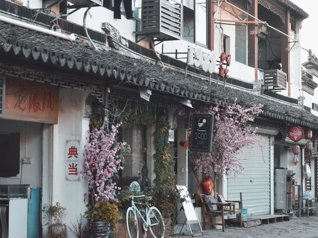 Visiting the ancient town of Tongli 