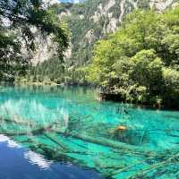 The beauty of Jiuzhaigou