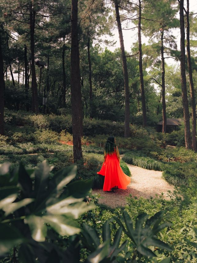 Lush Green Park on a hill in Hangzhou 🌳🌿🌸