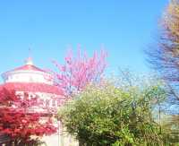 Colorful Tulip Garden and Zoo