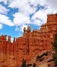A national park in Bryce Canyon that will leave you speechless and wanting to go.