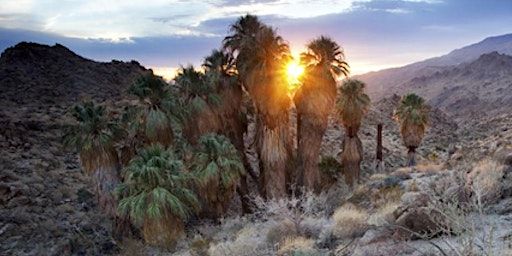 Palm Springs Desert Chapter March Paint Out | Santa Rosa and San Jacinto Mountains National Monument Visitor Center