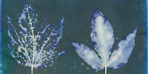 Intro to Cyanotype Prints | Factory 3