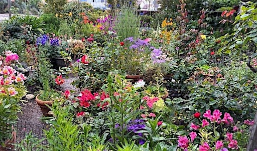Historic Garden League - June 2025 Garden Tour | Monterey - Historic Garden League Garden Tour