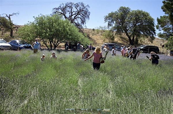 Culinary Entrepreneurship Certification Camp '25 | Tucson Village Farm 4-H Healthy Living Center