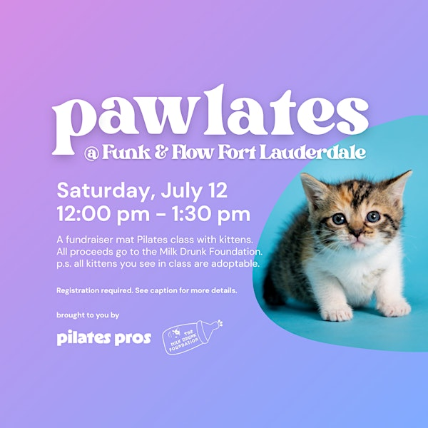 Pawlates: Pilates Class w/ Kittens for Charity | Funk&Flow