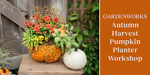 Autumn Harvest Pumpkin Planter Workshop at GARDENWORKS North Shore | GARDENWORKS North Shore