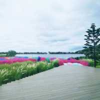 Memories House Cafe : Outdoor Zone