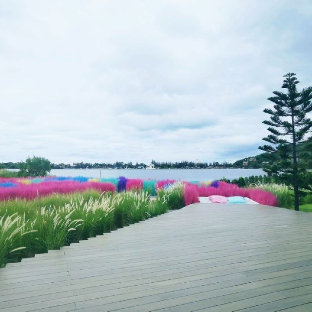 Memories House Cafe : Outdoor Zone