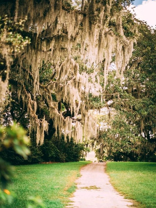 Magnolia Plantation & Gardens.