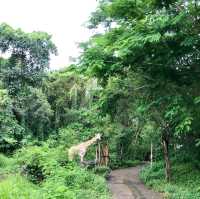 印尼峇里島野生動物園
