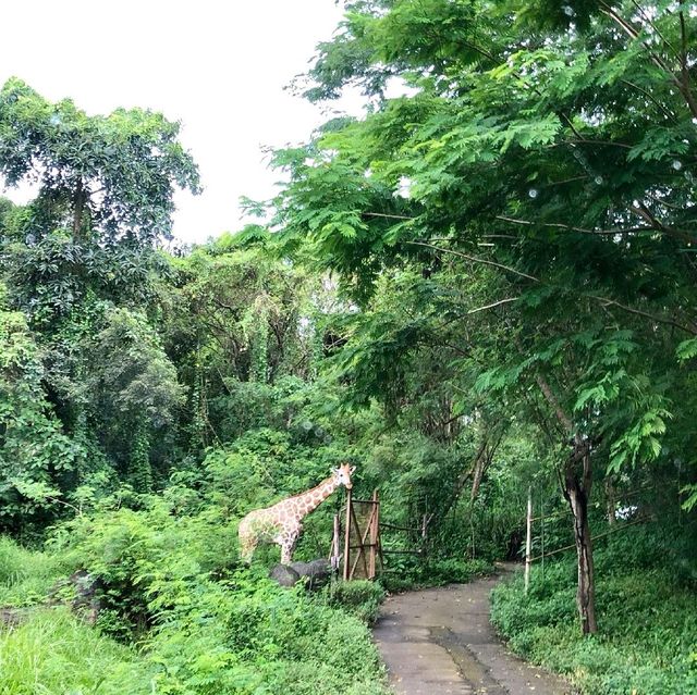 印尼峇里島野生動物園