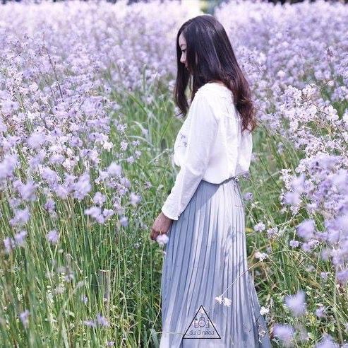 ทุ่งดอกหงอนนาค 💜สีม่วงฟรุ๊งฟริ๊ง สวยหวานใจละลาย