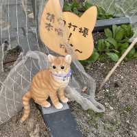 【 好可愛的小貓咪藝術裝置 】