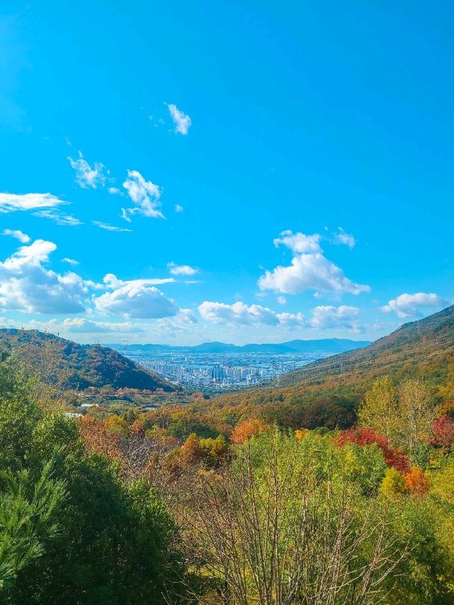 부산에서 가을 즐기기 🍁 