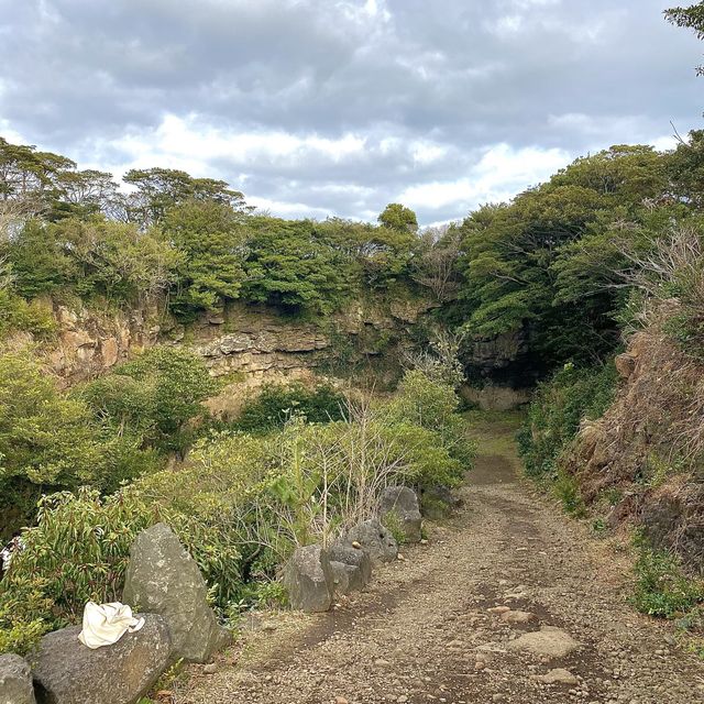 📍제주도의 녹차밭? 오늘은 녹차공원!