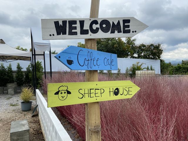 549 Resort & Cafe’