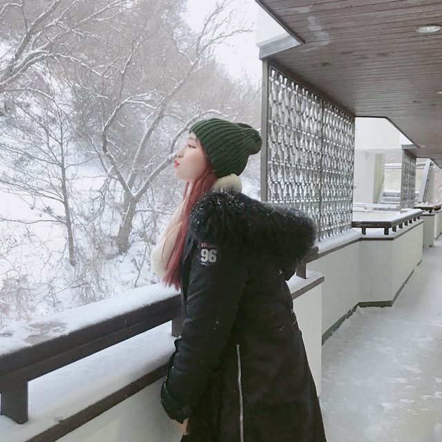 눈꽃세상에서 스키타기 🎿 