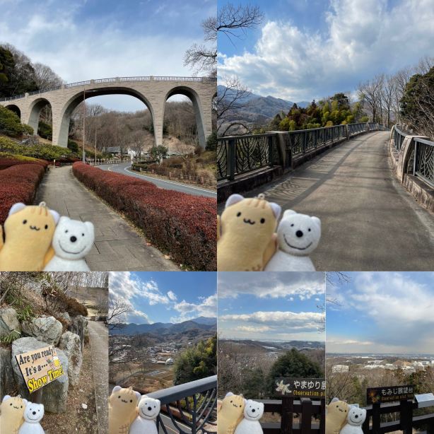 クマ散歩：七沢森林公園に品行方正なクマ出没 | Trip.com 厚木