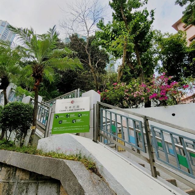情侶好去處 ～ 堅巷花園 