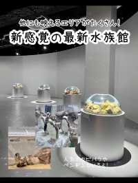 【兵庫】映えすぎる最新水族館『atoa』潜入レポ