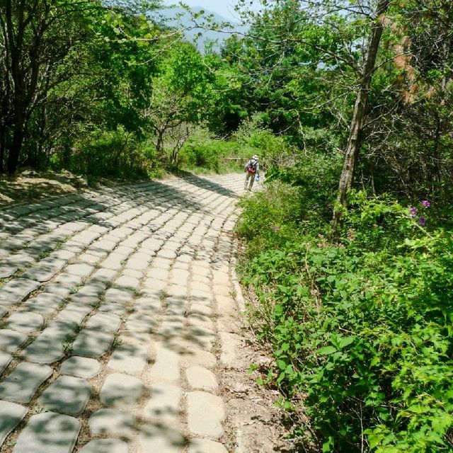 지리산 바래봉 등산 