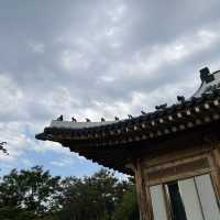 ‘Cheong Wa Dae’ is now open to the public